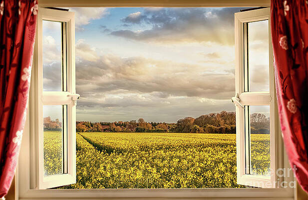 Wall Art - Digital Art - Window open with a view onto farm crops by Simon Bratt