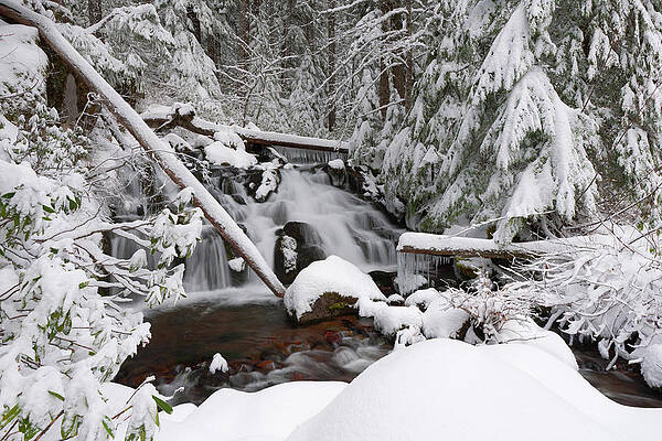 Winter Creek by Andrew Kumler Winter Creek by Andrew Kumler