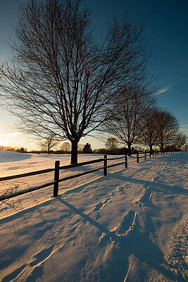 Winter in Virginia - Burke Lake Park by Riccardo Forte Winter in Virginia - Burke Lake Park by Riccardo Forte