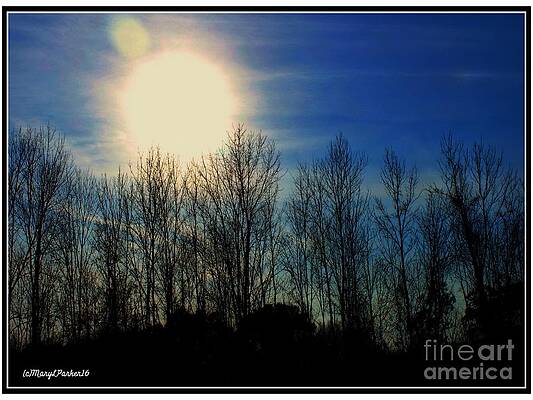 Winter Morning by MaryLee Parker