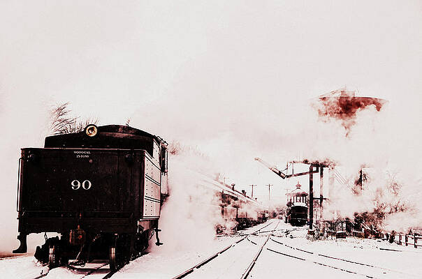 Winter Whiteout by Cynthia Sperko Winter Whiteout by Cynthia Sperko