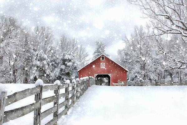 Winter's Red Barn by Benanne Stiens Winter's Red Barn by Benanne Stiens