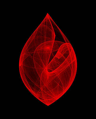 Wall Art - Digital Art - Within Shell V by Robert Krawczyk