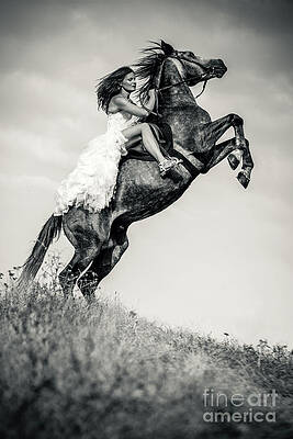 Wall Art - Photograph - Woman in dress riding chestnut black rearing stallion by Dimitar Hristov