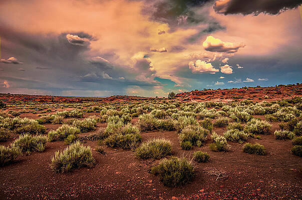 Wall Art - Photograph - Wupatki by Jim Painter