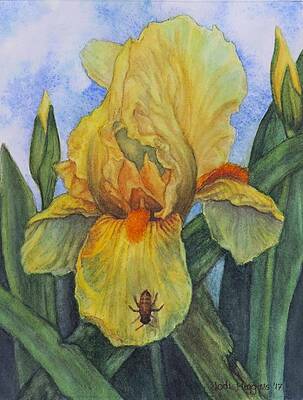 Yellow Iris with Bee by Jodi Higgins Yellow Iris with Bee by Jodi Higgins