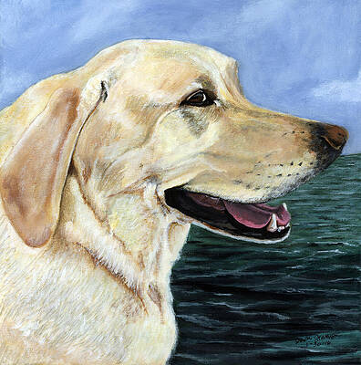 Yellow lab Marley by Sara Stevenson Yellow lab Marley by Sara Stevenson