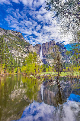 Wall Art - Photograph - Yosemite Falls in Spring Reflection by Scott McGuire