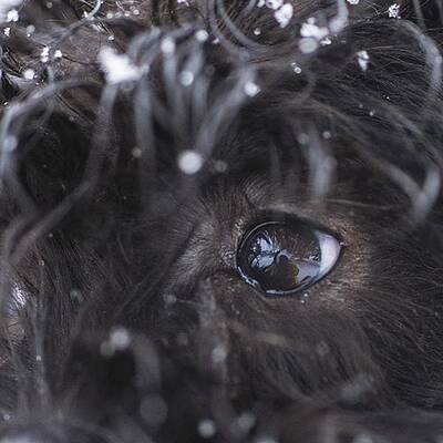 Wall Art - Photograph - Your Eyes Don't Have To Be Open To See by David Haskett II