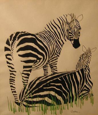 Zebras by Candice Brearley