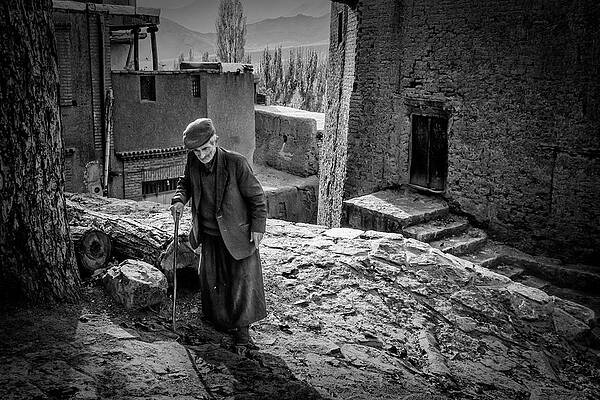 Wall Art - Photograph -  by Bozorgmehr Ejlal