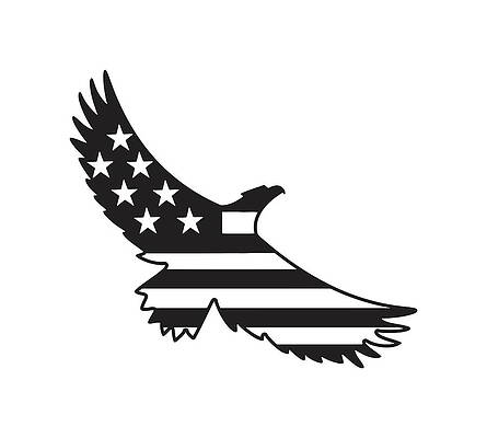 Wall Art - Drawing - American Flag Eagle by CSA Images