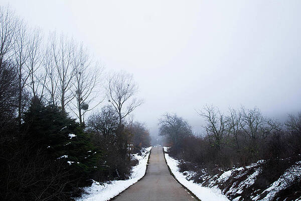 Wall Art - Photograph - An Empty Road With Snow On The Edges And Surrounding Trees #1 by Cavan Images