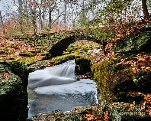 Wall Art - Photograph - Autumn in New England #2 by Steve Brown