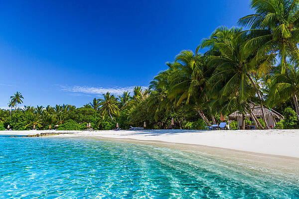 Wall Art - Photograph - Beautiful Beach With Palm Trees #1 by Levente Bodo