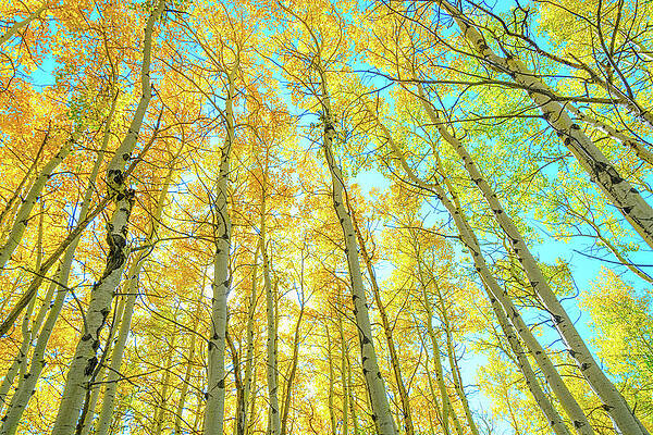 Beautiful Day by James BO Insogna Beautiful Day by James BO Insogna