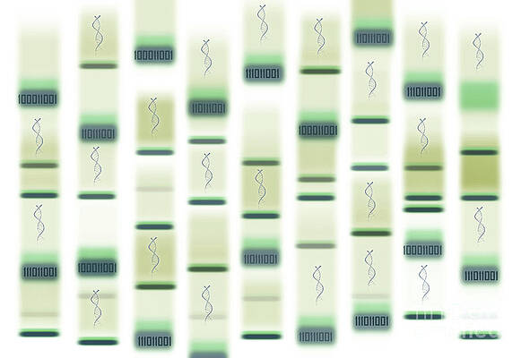 Wall Art - Photograph - Bioinformatics #1 by Science Photo Library