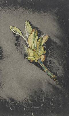 Wall Art - Painting - Bloem by Carel Adolph Lion Cachet