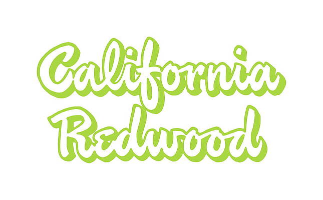 Wall Art - Drawing - California Redwood by CSA Images