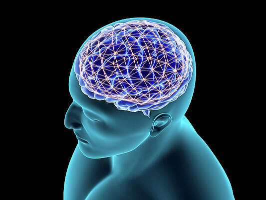 Conceptual Image Of A Neural Network by Stocktrek Images Conceptual Image Of A Neural Network by Stocktrek Images