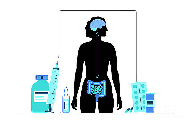 Wall Art - Photograph - Connection Between Gut And Brain #1 by Science Photo Library