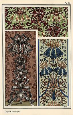 Wall Art - Drawing - Crown imperial flower, Fritillaria imperialis, in wallpaper and fabric patterns, and as design fo... by Album
