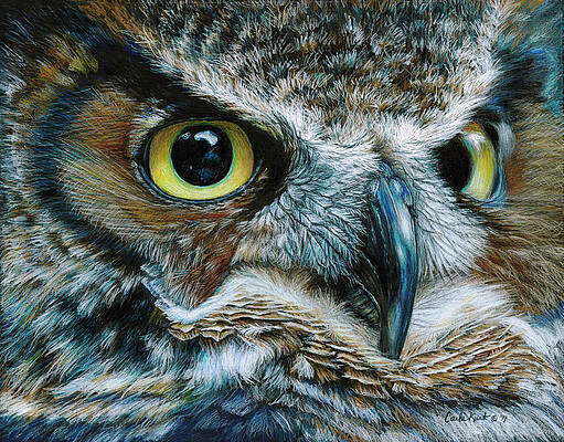 Owl Spirit Animal Art - Pixels