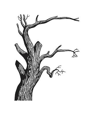 creepy dead tree sketch
