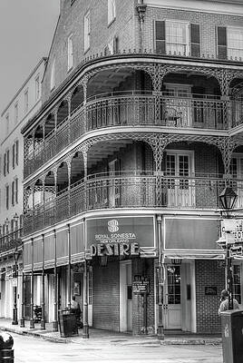 Desire Oyster Bar by Reese Lewis Desire Oyster Bar by Reese Lewis