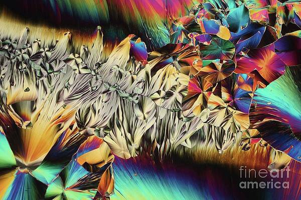 Wall Art - Photograph - Dopamine #1 by Science Photo Library
