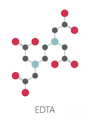 Wall Art - Photograph - Edta Complexing Agent Molecule #1 by Science Photo Library