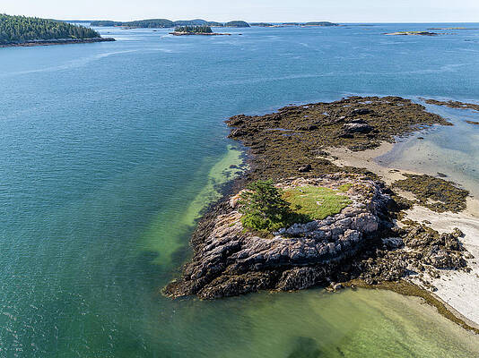  Photograph - Elephant Island #1 by Donald Williams