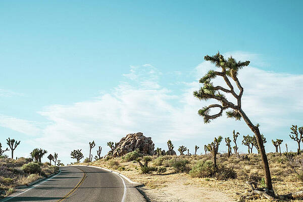 Wall Art - Photograph - Empty Road On Desert Against Sky At Joshua Tree National Park #1 by Cavan Images