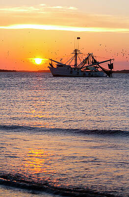 Fishing Boat At Sunset Print by Tshortell