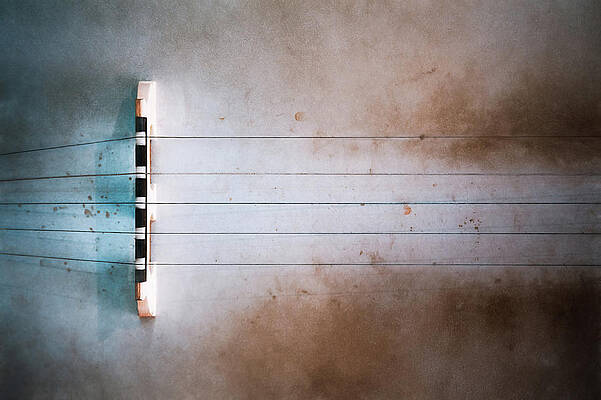 Wall Art - Photograph - Five String Banjo by Scott Norris