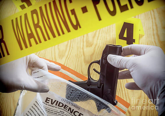 Wall Art - Photograph - Forensic Scientist Bagging Weapon #1 by Science Photo Library