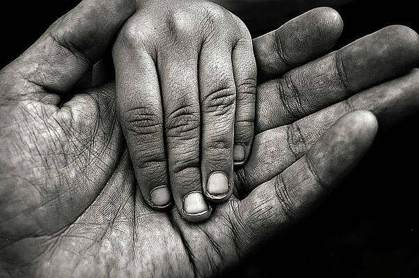 Wall Art - Photograph - Generations #1 by Sd Smart
