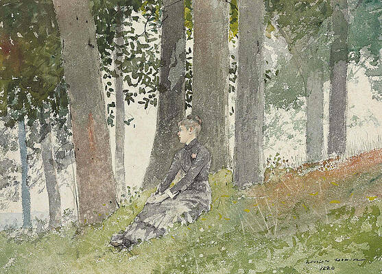 Girl Seated in a Grove Print by Winslow Homer