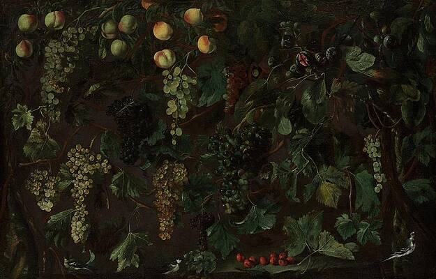 Wall Art - Painting - Grape Vines And Fruit, With Three Wagtails by Bartolomeo Cavarozzi