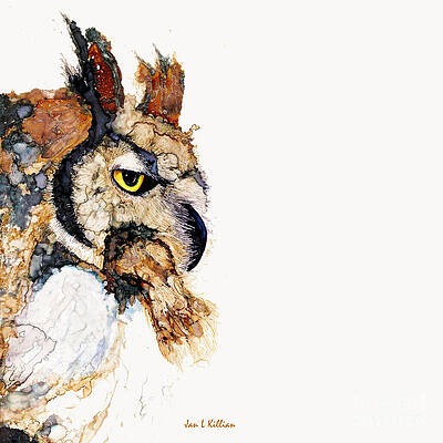 Great Hoot by Jan Killian Great Hoot by Jan Killian