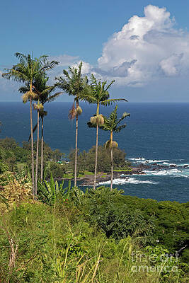 Wall Art - Photograph - Hawaii Big Island #2 by Jim West