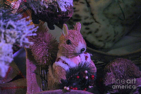 Holiday Nuts by Marie Neder Holiday Nuts by Marie Neder