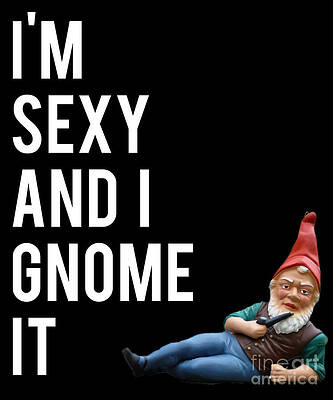Wall Art - Digital Art - Im Sexy And I Gnome It #1 by Flippin Sweet Gear