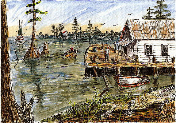 In The Swamp by Barry Jones In The Swamp by Barry Jones