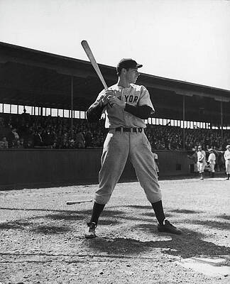 Wall Art - Photograph - Joe Dimaggio #2 by Carl Mydans