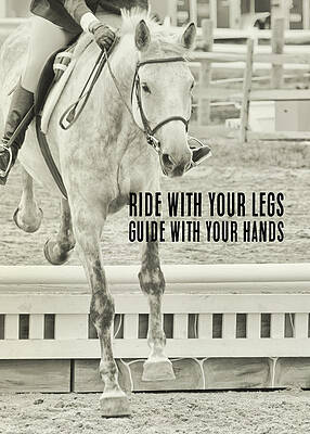 JUMPING VERTICAL quote by Jamart Photography JUMPING VERTICAL quote by Jamart Photography