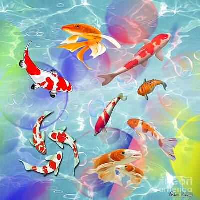 Koi Fusion by Gena Livings Koi Fusion by Gena Livings