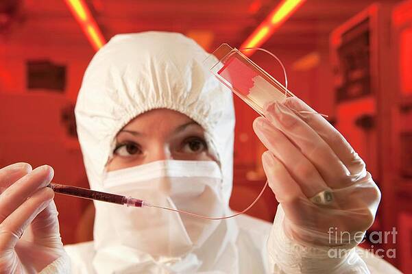 Wall Art - Photograph - Lab-on-a-chip #1 by Science Photo Library