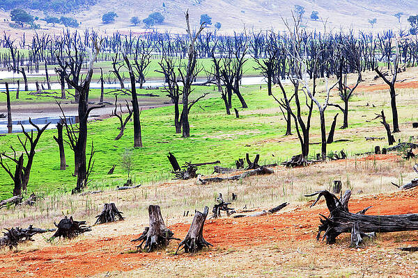 Wall Art - Photograph - Lake Hume, The Largest Reservoir In Australia During The #1 by Ashley Cooper / Naturepl.com