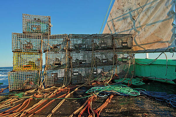 Lobster Trap Art for Sale (Page #4 of 35) - Fine Art America